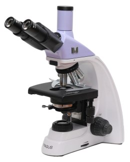 Mikroskop biologiczny Magus Bio 250T