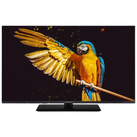 Telewizor GoGEN TVF32M340STWEB 32"