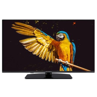 Telewizor GoGEN TVF40M340STWEB 40"