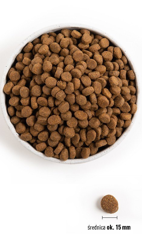 ORIJEN Puppy Large - sucha karma dla szczeniąt dużych ras - 6kg ORIJEN Puppy Large - sucha karma dla szczeniąt dużych ras - 6kg