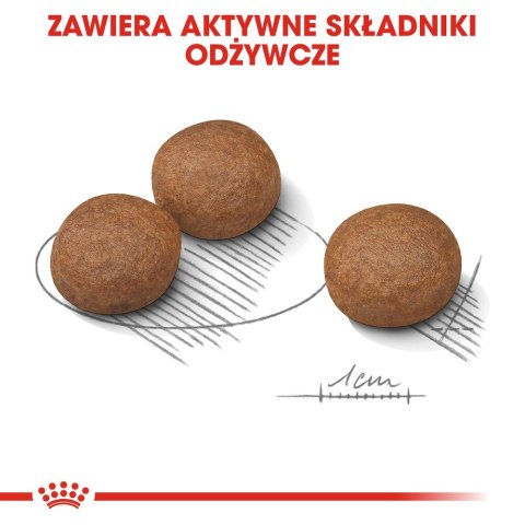 Royal Canin CCN MEDIUM DIGESTIVE CARE - sucha karma dla psa dorosłego - 3kg Royal Canin CCN MEDIUM DIGESTIVE CARE - sucha karma dla psa dorosłego - 3kg