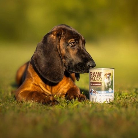 VetExpert Raw Paleo Dorsz Puppy Can 400g VetExpert Raw Paleo Dorsz Puppy Can 400g
