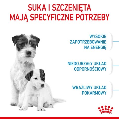 Royal Canin SHN Mini Starter M&B 4kg