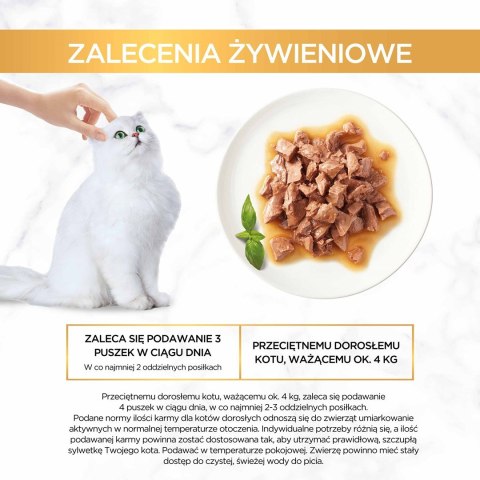 Gourmet Gold Sauce Delights mokra karma dla kota z kurczakiem 85g Gourmet Gold Sauce Delights mokra karma dla kota z kurczakiem 85g