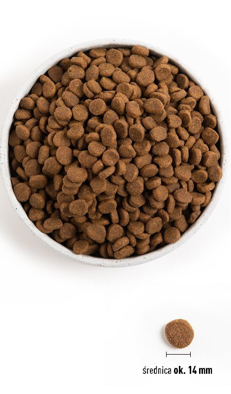 ORIJEN Original - sucha karma dla psa - 6 kg ORIJEN Original - sucha karma dla psa - 6 kg
