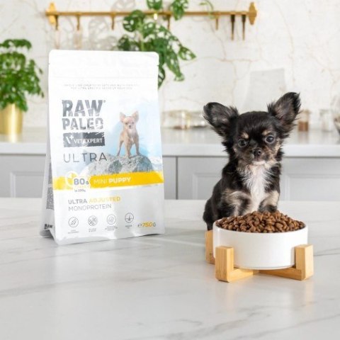 VetExpert Raw Paleo Ultra Indyk Mini Puppy 8kg VetExpert Raw Paleo Ultra Indyk Mini Puppy 8kg