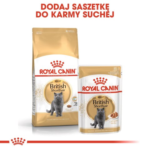 Royal Canin FBN British Shorthair Adult - sucha karma dla kota dorosłego - 10kg Royal Canin FBN British Shorthair Adult - sucha karma dla kota dorosłego - 10kg