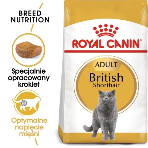 Royal Canin FBN British Shorthair Adult - sucha karma dla kota dorosłego - 10kg Royal Canin FBN British Shorthair Adult - sucha karma dla kota dorosłego - 10kg