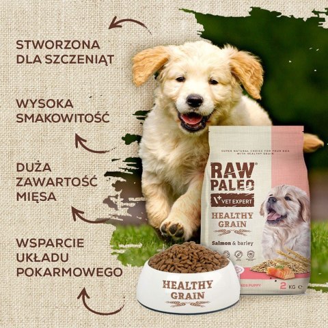 VetExpert Raw Paleo Healthy Grain Salmon&Barley Puppy - Karma sucha dla psów - 10kg VetExpert Raw Paleo Healthy Grain Salmon&Barley Puppy - Karma sucha dla psów - 10kg