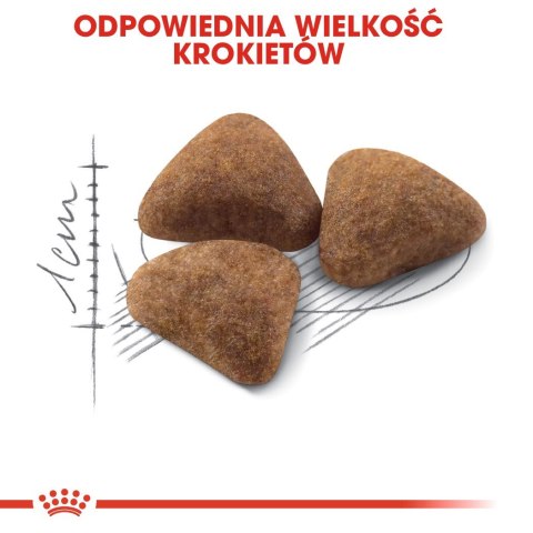 Royal Canin FHN Indoor - sucha karma dla kota dorosłego - 4kg Royal Canin FHN Indoor - sucha karma dla kota dorosłego - 4kg