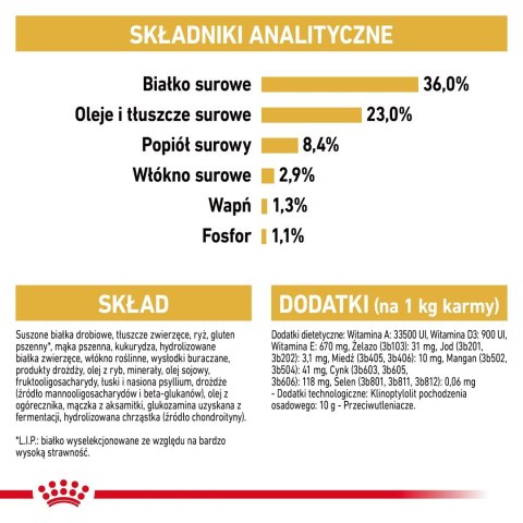 Karma Royal Canin FBN Kitten Maine Coon (4 kg ) Karma Royal Canin FBN Kitten Maine Coon (4 kg )