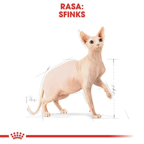 ROYAL CANIN Sphynx Adult 2kg ROYAL CANIN Sphynx Adult 2kg