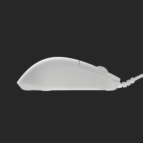 Endgame Gear OP1 RGB myszka Gaming Po prawej stronie USB Typu-A Optyczny 26000 DPI Endgame Gear OP1 RGB myszka Gaming Po prawej stronie USB Typu-A Optyczny 26000 DPI