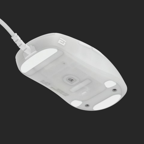 Endgame Gear OP1 RGB myszka Gaming Po prawej stronie USB Typu-A Optyczny 26000 DPI Endgame Gear OP1 RGB myszka Gaming Po prawej stronie USB Typu-A Optyczny 26000 DPI