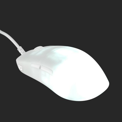 Endgame Gear OP1 RGB myszka Gaming Po prawej stronie USB Typu-A Optyczny 26000 DPI Endgame Gear OP1 RGB myszka Gaming Po prawej stronie USB Typu-A Optyczny 26000 DPI