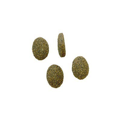 BOZITA Robur Sensitive Single Protein Lamb 3kg BOZITA Robur Sensitive Single Protein Lamb 3kg