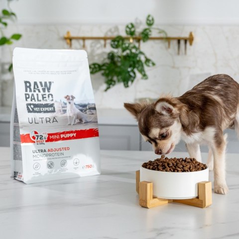 VetExpert Raw Paleo Ultra Wołowina Mini Puppy 8kg VetExpert Raw Paleo Ultra Wołowina Mini Puppy 8kg