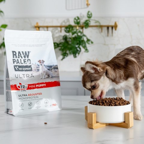 VetExpert Raw Paleo Ultra Wołowina Mini Puppy 8kg VetExpert Raw Paleo Ultra Wołowina Mini Puppy 8kg