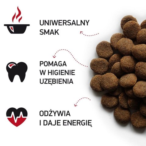 BIOFEED NASZ PIES Z WOŁOWINĄ 15 KG BIOFEED NASZ PIES Z WOŁOWINĄ 15 KG