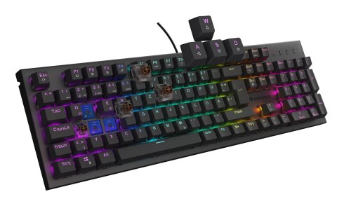 GENESIS Thor 303 klawiatura Gaming USB QWERTZ Niemiecki Czarny GENESIS Thor 303 klawiatura Gaming USB QWERTZ Niemiecki Czarny