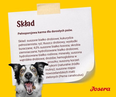Josera Festival dla psów 12,5kg