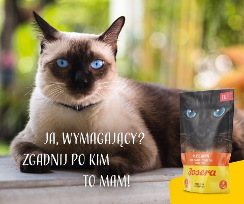 Josera Karma Filet kurczak dla kota 70g