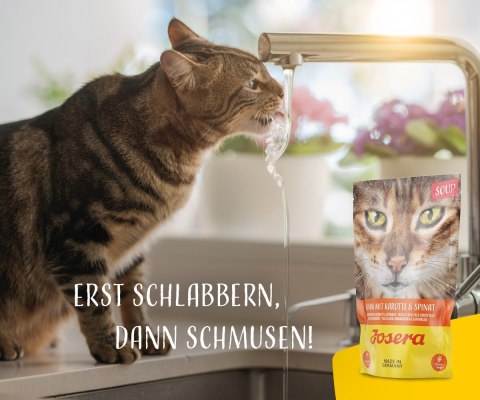 Josera Karma Zupa kurczak marchew i szpinak kot 70g