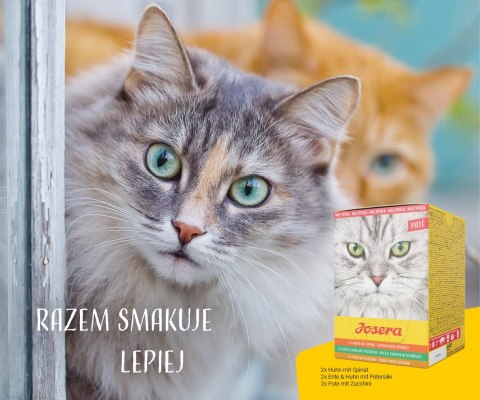Josera Multipack Pate Kurczak kaczka indyk 6x85g