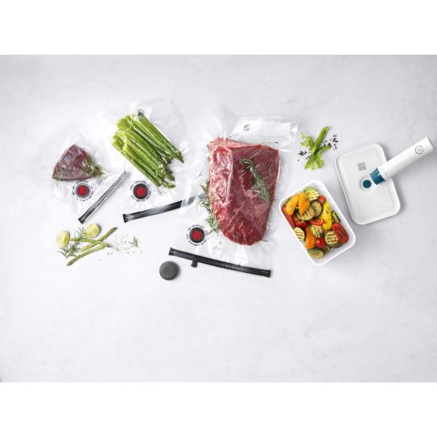 Zestaw startowy do pakowania próżniowego ZWILLING Fresh&Save L 36815-013-0 Niebieski Zestaw startowy do pakowania próżniowego ZWILLING Fresh&Save L 36815-013-0 Niebieski