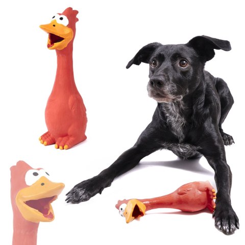 Zabawka dla psa gryzak gumowy kaczka 20,5cm Zabawka dla psa gryzak gumowy kaczka 20,5cm