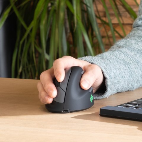 R-Go Pele HE ergonomiczna praworęczna Bluetooth czarna/srebrna retail R-Go Pele HE ergonomiczna praworęczna Bluetooth czarna/srebrna retail