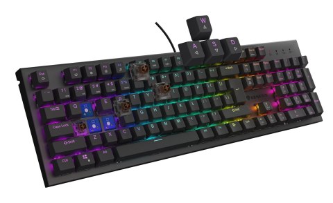 GENESIS Thor 303 klawiatura Gaming USB QWERTY US English Brzoza GENESIS Thor 303 klawiatura Gaming USB QWERTY US English Brzoza