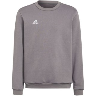 Bluza dla dzieci adidas Entrada 22 Sweat Top szara H57477 164cm