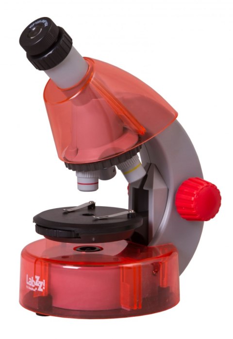 (PL) Mikroskop Levenhuk LabZZ M101