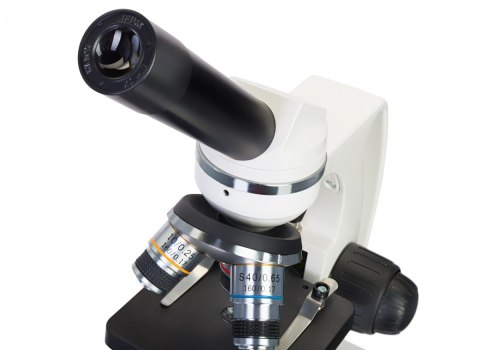 (PL) Mikroskop Levenhuk Discovery Femto Polar z książką (PL) Mikroskop Levenhuk Discovery Femto Polar z książką