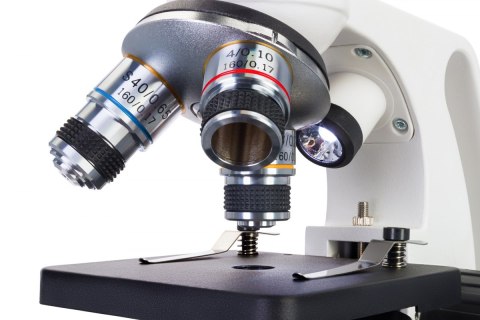 (PL) Mikroskop Levenhuk Discovery Femto Polar z książką (PL) Mikroskop Levenhuk Discovery Femto Polar z książką