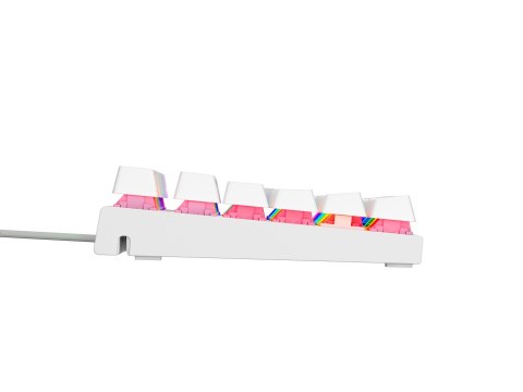 KLAWIATURA DLA GRACZY GENESIS THOR 303 TKL US BIAŁA RGB MECHANICZNA SILENT SWITCH HOT SWAP KLAWIATURA DLA GRACZY GENESIS THOR 303 TKL US BIAŁA RGB MECHANICZNA SILENT SWITCH HOT SWAP