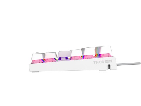 KLAWIATURA DLA GRACZY GENESIS THOR 303 TKL US BIAŁA RGB MECHANICZNA SILENT SWITCH HOT SWAP KLAWIATURA DLA GRACZY GENESIS THOR 303 TKL US BIAŁA RGB MECHANICZNA SILENT SWITCH HOT SWAP