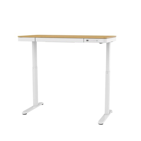 Biurko ACTIVEJET z elektryczną regulacją wysokości 140x70 ET119W-C biały/dąb