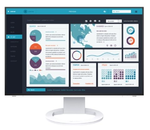 Monitor EIZO EV2495-WT (24.1" /IPS /60Hz /1920 x 1200 /Biały) Monitor EIZO EV2495-WT (24.1" /IPS /60Hz /1920 x 1200 /Biały)