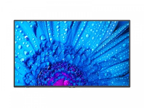 Monitor NEC 60005061 (65" /IPS /60Hz /3840 x 2160 /Czarny) Monitor NEC 60005061 (65" /IPS /60Hz /3840 x 2160 /Czarny)
