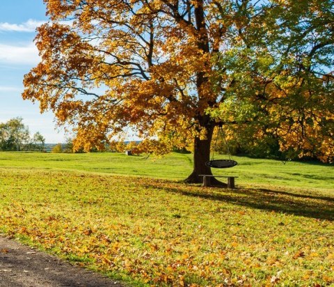 HUŚTAWKA BOCIANIE GNIAZDO 100 CM CZARNA
