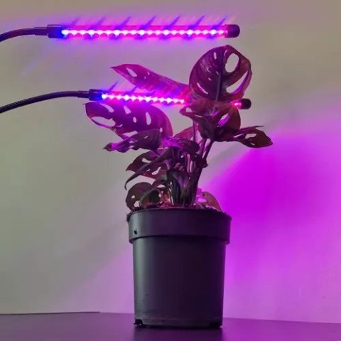 LAMPA 20 LED 2SZT. DO WZROSTU ROŚLIN GARDLOV 19241