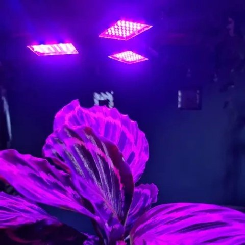 LAMPA 108 LED DO WZROSTU ROŚLIN GARDLOV 20440