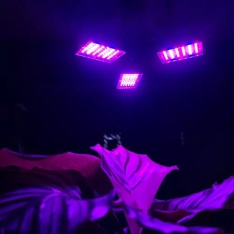 LAMPA 108 LED DO WZROSTU ROŚLIN GARDLOV 20440