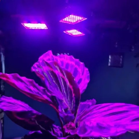 LAMPA 108 LED DO WZROSTU ROŚLIN GARDLOV 20440