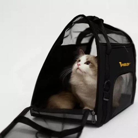 TRANSPORTER- TORBA DLA PSA/ KOTA PURLOV 20940