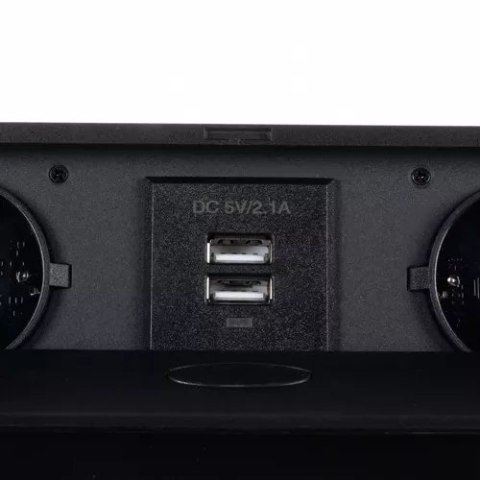 GNIAZDO CHOWANE W BLAT USB- PODWÓJNE IZOXIS 21446