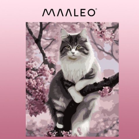 MALOWANIE PO NUMERACH 40X50CM- KOTEK MAALEO 22783