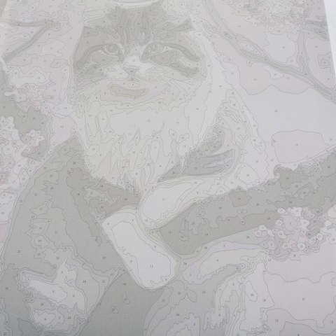 MALOWANIE PO NUMERACH 40X50CM- KOTEK MAALEO 22783